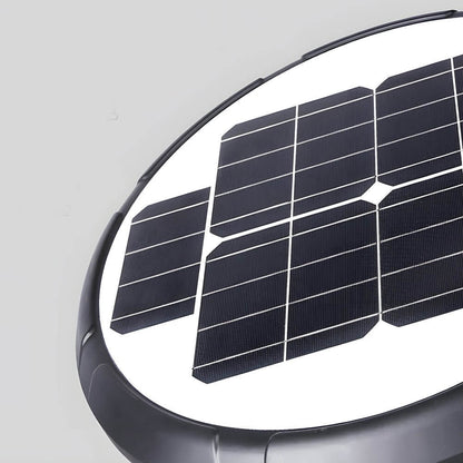 1-Light Black Outdoor LED Solar Lamp Post and Pole Street Light