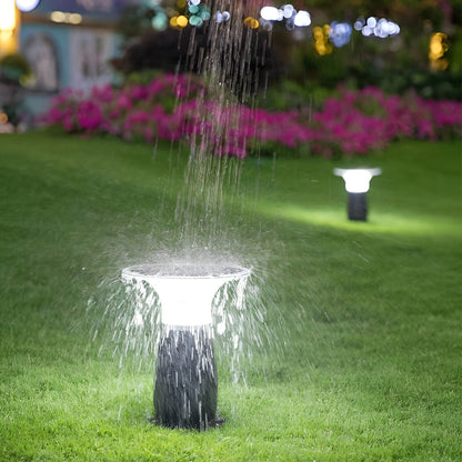 Efficient 3.5W Solar LED Path Downlights 360° Modern Black Landscape Lighting