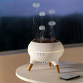 Jellyfish Humidifier & Essential Oil Diffuser - LED Mood Lamp Aromatherapy Air Humidifier for Bedroom