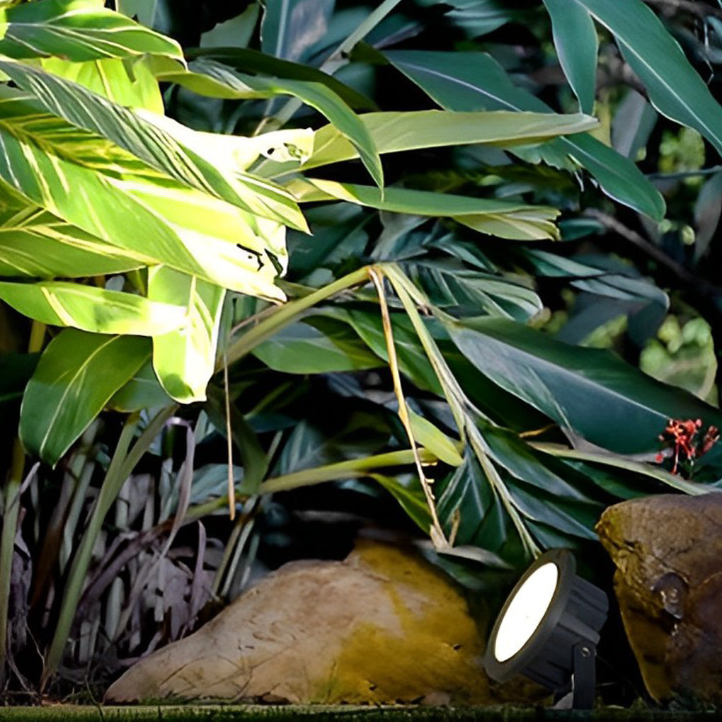 Outdoor LED Spotlights Modern Energy Efficient Lighting for Gardens