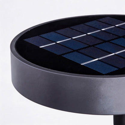 Outdoor Solar Lighting Wall Mount Motion Sensor LED Light