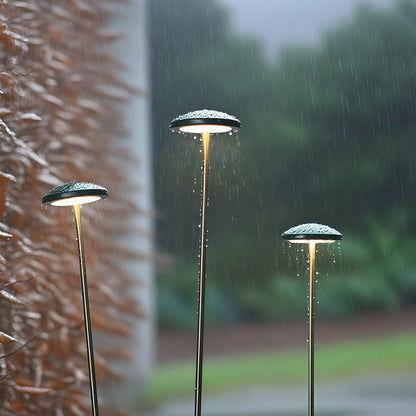 Pathway Outdoor Lighting Landscape Minimalist Ambience Light
