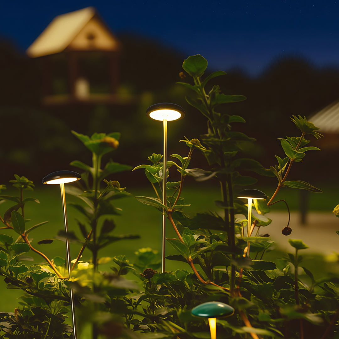 Pathway Outdoor Lighting Landscape Minimalist Ambience Light