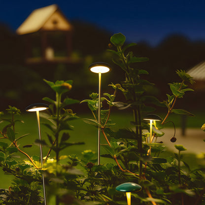 Pathway Outdoor Lighting Landscape Minimalist Ambience Light