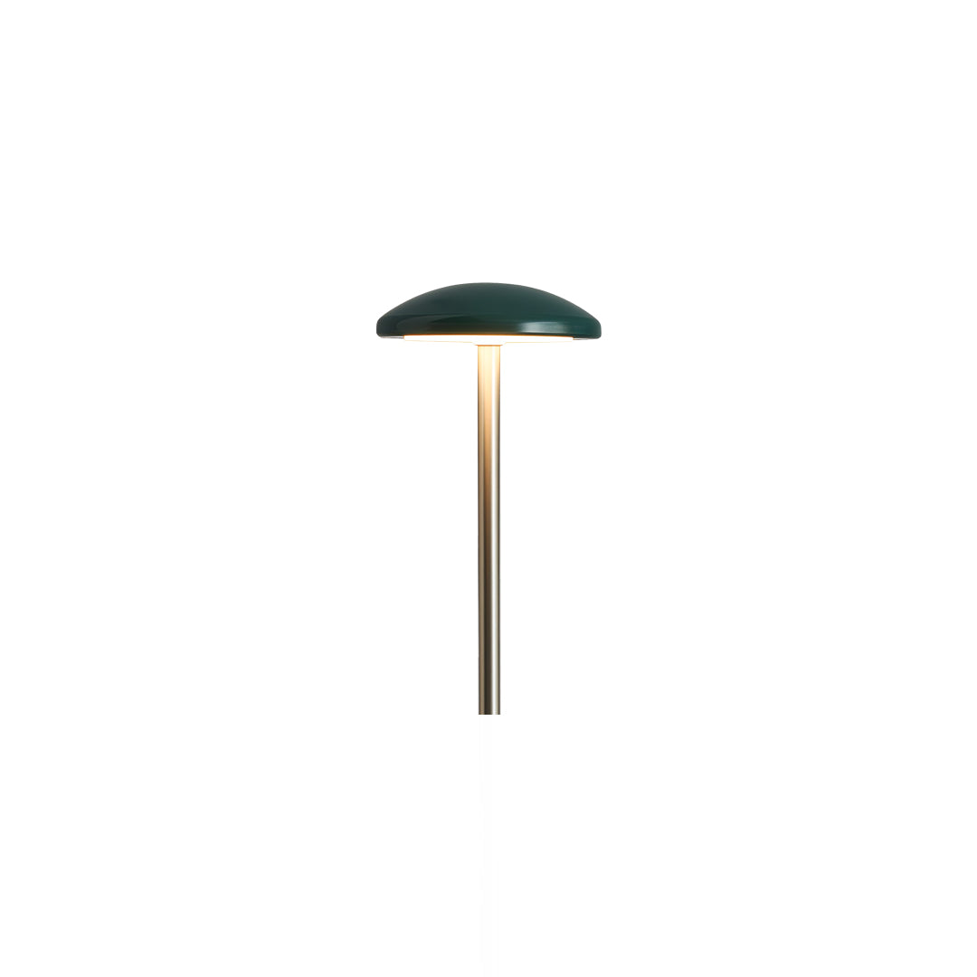 Pathway Outdoor Lighting Landscape Minimalist Ambience Light