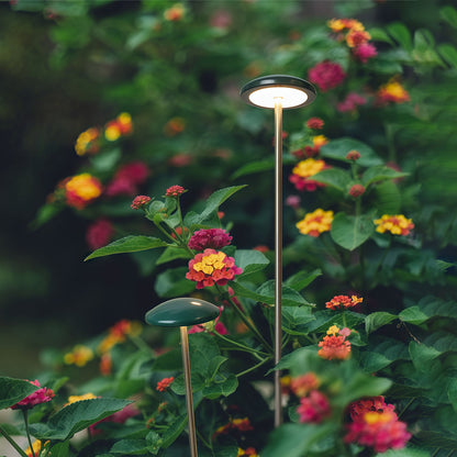 Pathway Outdoor Lighting Landscape Minimalist Ambience Light
