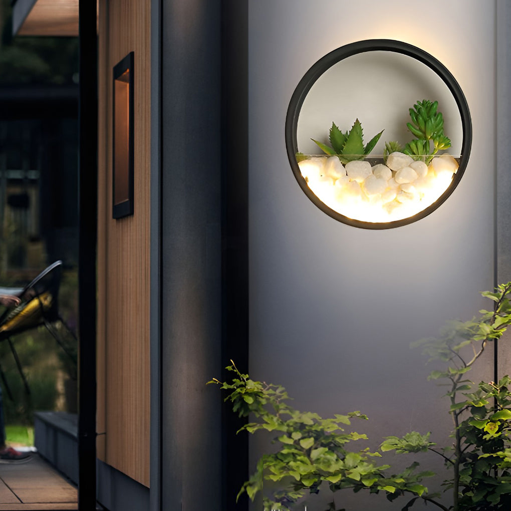 Round Plant Wall Lamp Natural LED Modern Outdoor Light