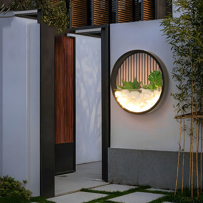Round Plant Wall Lamp Natural LED Modern Outdoor Light