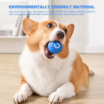 Active Rolling Ball Anti-Anxiety Automatic Moving Ball